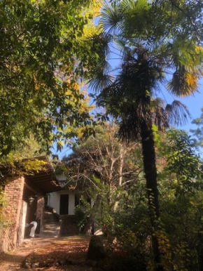 TORRE GARDEN HOME - casa singola nella città di Bolzano con giardino privato